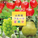 【ふるさと納税】《先行予約》山形県フルーツ3種定期便