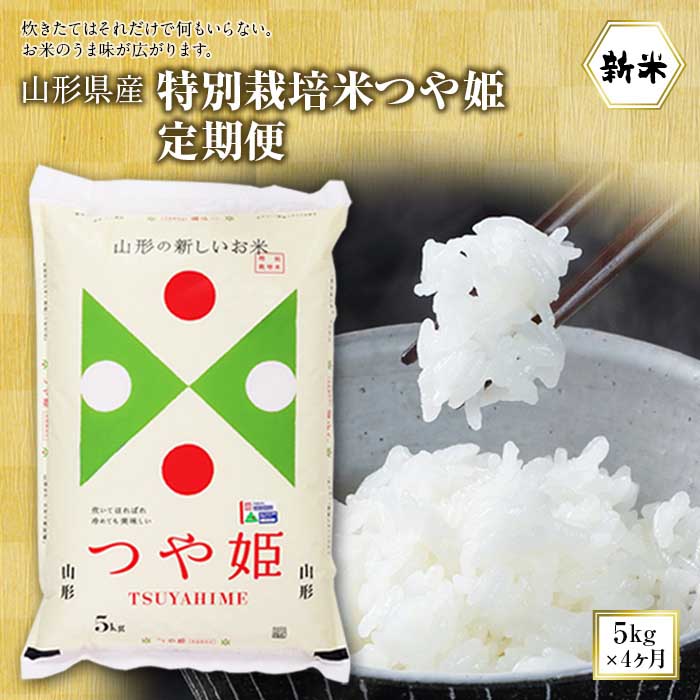山形県産特別栽培米つや姫定期便4回(つや姫5×4ヶ月)