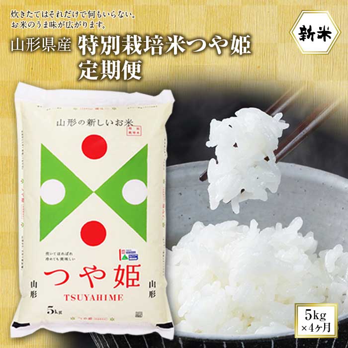 【ふるさと納税】令和2年山形県産特別栽培米つや姫定期便4回(つや姫5kg×4ヶ月) F2Y-1295