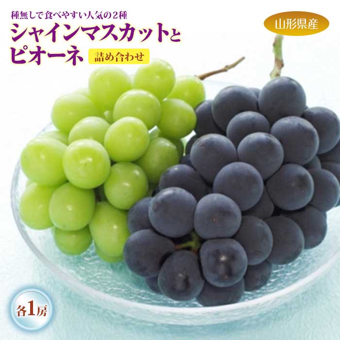 【ふるさと納税】シャインマスカットとピオーネの詰め合わせ 各1房 F2Y-1314