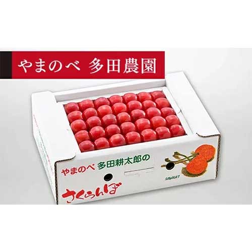 ・ふるさと納税よくある質問はこちら ・寄附申込みのキャンセル、返礼品の変更・返品はできません。あらかじめご了承ください。「山形と言えばさくらんぼ、さくらんぼと言えば多田農園」のフレーズで名の知れた、県下有数の山形セレクション認定高級さくらんぼ生産者としても知られる「やまのべ多田耕太郎のさくらんぼ多田農園」が、心を込めて育てたふるさとのさくらんぼです。 多田農園では、これからも山辺町で最高の栽培条件に甘んじることなく、日々研鑽を積み、甘く美しい、最良のさくらんぼを作り、より新鮮な状態でお届けできるように努力してまいります。 【佐藤錦】驚くほど糖度が高い多田農園の高級佐藤錦をぜひご賞味ください。 ※画像はイメージです。 ※沖縄・離島へのお届けはできません。 ※季節品のため配送日時指定やお届け日についてのお問合せは承っておりません。 申込順に順次出荷いたします。 ※天候や収穫状況により、お届けや規格が変更になる場合がございます。 ※配送時の揺れや傾きにより若干の傷が生じる場合がございます。 ※返礼品受取後、すぐに返礼品の状態をご確認ください。不良の場合現品と交換させて頂きます。 お問合せセンターまでご連絡ください。お時間が過ぎてからの交換は致しかねます。 ※ご不在等により返礼品を受け取れなかった場合の再出荷は致しかねます。 ※お受け取りになりましたら、冷蔵状態で保管ください。 ※生鮮食品ですので、なるべく早くお召し上がりください。 商品説明 内容量：Lサイズ 約500g 手詰 ◎受注期間：2024年6月11日まで ◎発送期間：2024年6月中旬頃〜6月下旬頃 ※発送時期は、例年の発送時期を記載しております。 天候や収穫状況により変更になる場合があります。 配送：冷蔵 事業者：株式会社 多田農園 「ふるさと納税」寄附金は、下記の事業を推進する資金として活用してまいります。 寄附を希望される皆さまの想いでお選びください。 1. 次代を担い地域を支える人材の育成・確保 2. 競争力のある力強い農林水産業の振興・活性化 3. 高い付加価値を創出する産業経済の振興・活性化 4. 県民が安全・安心を実感し、総活躍できる社会づくり 5. 未来に向けた発展基盤となる県土の整備・活用 6. 自治体におまかせ 申請書を受領証明書と一緒にお送りしますので、必要情報を記載の上、返信用封筒に切手を貼付いただきご返送ください。 入金確認後、注文内容確認画面の【注文者情報】に記載の住所に45日以内に発送いたします。(年末年始を除く)