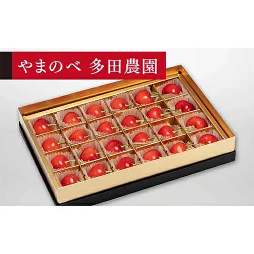 【ふるさと納税】さくらんぼ 珠玉の紅秀峰 みやび箱詰 24粒「やまのべ多田農園」 F2Y-1373