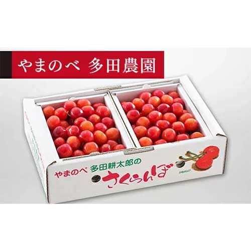 【ふるさと納税】≪2024年 先行予約≫さくらんぼ 佐藤錦 バラ詰 Lサイズ 1kg (500g×2)「やまのべ多田農園」 F2Y-1374