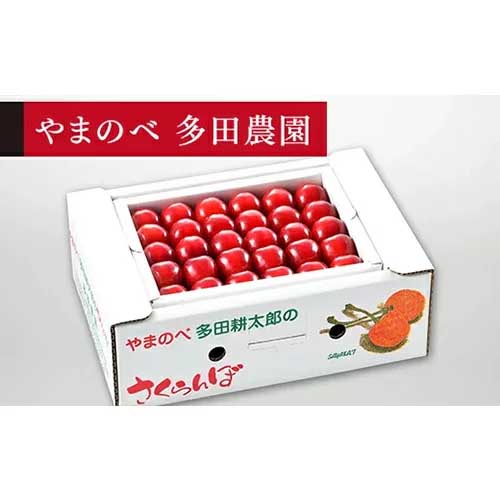 【ふるさと納税】≪2024年 先行予約≫さくらんぼ 紅秀峰 手詰 約500g「やまのべ多田農園」 F2Y-1375