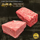 【ふるさと納税】山形牛ブロックセット モモ・バラ各300g F2Y-1413