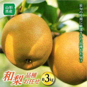 【ふるさと納税】《先行予約》天童産 和梨 (品種おまかせ) 約3kg F2Y-1470