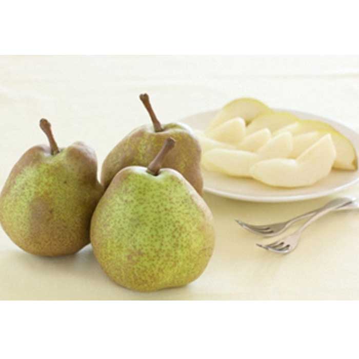 【ふるさと納税】山形の人気フルーツご自宅用定期便 年5回 F2Y-1569