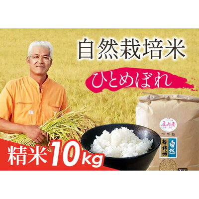 楽天ふるさと納税　【ふるさと納税】自然栽培米 ひとめぼれ 精米 10kg F2Y-1677