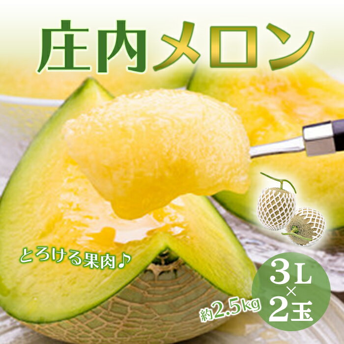 【ふるさと納税】《先行予約 2024年度発送》庄内メロン 2玉3L 約2.5kg FSY-0500のサムネイル
