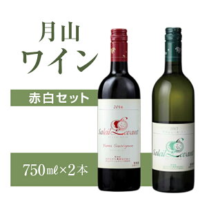 【ふるさと納税】月山ワイン赤白セット F2Y-8206
