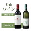 【ふるさと納税】月山ワイン赤白セット F2Y-8206