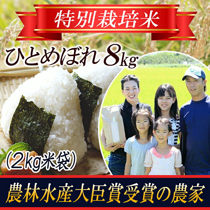 【令和5年産米】特別栽培米 ひとめぼれ 精米2kg×4袋 山形県庄内産 F2Y-3136