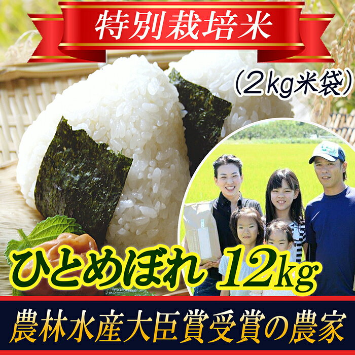 【令和5年産米】特別栽培米 ひとめぼれ 精米2kg×6袋 山形県庄内産 F2Y-3139