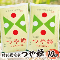 【ふるさと納税】特別栽培米つや姫 5kg×2袋 計10kg 令和2年産米 山形県庄内産 ご希望の時期頃お届け ※着日指定不可