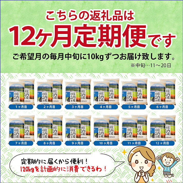 【ふるさと納税】≪12ヶ月定期便≫ はえぬき 10kg×12ヶ月 計120kg 山形県庄内産 毎月中旬にお届け 米 定期便