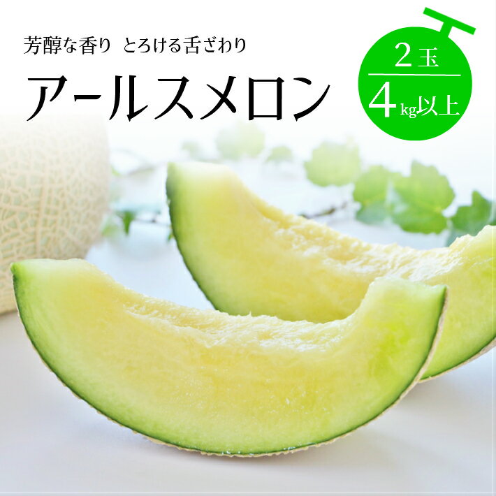 【ふるさと納税】JA直送！ アールスメロン 2玉 4kg以上 山形県酒田産 8月下旬〜10月上旬頃にお届け ※着日指定不可