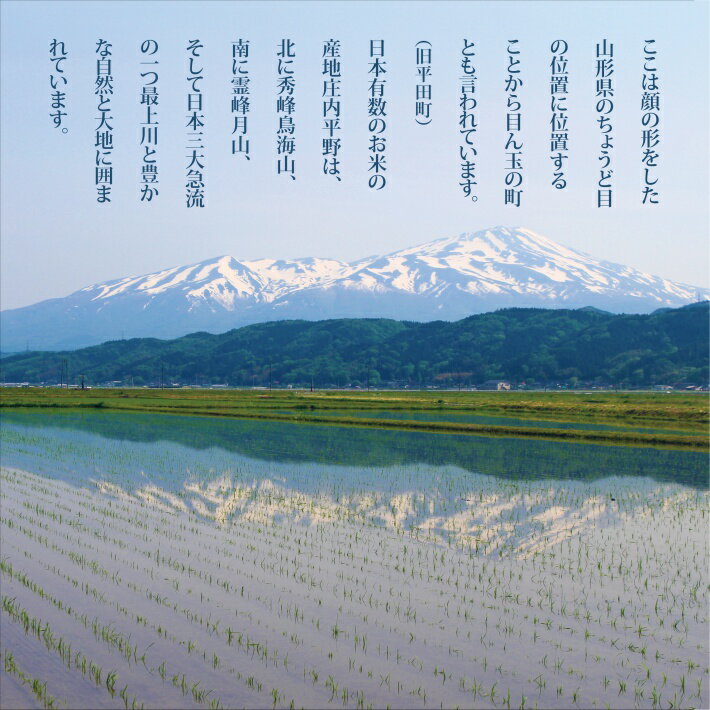 【ふるさと納税】一等米 はえぬき 玄米 5kg×2袋 計10kg 令和2年産米 山形県酒田産 ※着日指定不可