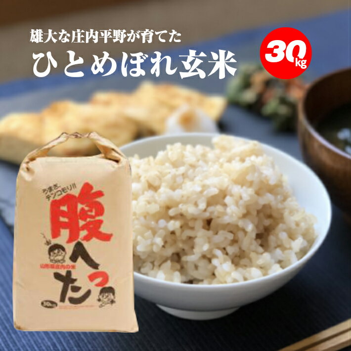 【ふるさと納税】一等米 ひとめぼれ 玄米 30kg×1袋 令和2年産米 山形県酒田産 ※着日指定不可