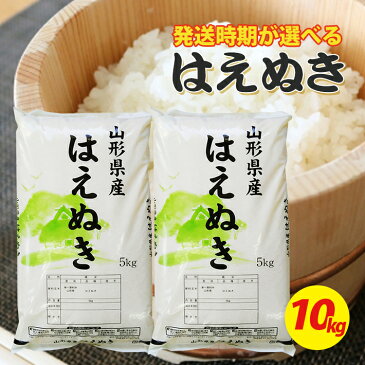 【ふるさと納税】はえぬき 5kg×2袋 計10kg 令和2年産 山形県庄内産 ご希望の時期頃お届け ※着日指定不可