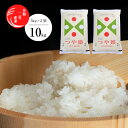 【ふるさと納税】新米 特別栽培米つや姫 5kg×2袋 計10...