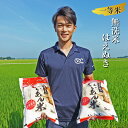 【ふるさと納税】一等米 無洗米はえぬき 5kg×2袋 計10