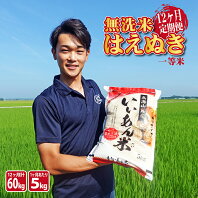 【ふるさと納税】≪定期便≫一等米 無洗米はえぬき 5kg×12ヶ月連続 計60kg 山形県庄内産 ご希望の毎月中旬頃お届け ※着日指定不可