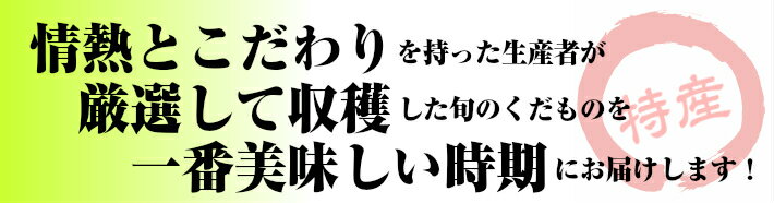 【ふるさと納税】《定期便》庄内特産 旬のくだもの マルッとお届け便 6月下旬-8月上旬「アンデスメロン」 8月下旬-9月下旬「刈屋梨」 10月「庄内柿」 11月「ラ・フランス」 計4回 ※着日指定不可が大人気返礼品になっている理由とは　ふるさと納税　人気　返礼品　ランキング