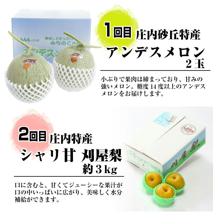 【ふるさと納税】《定期便》庄内特産 旬のくだもの マルッとお届け便 6月下旬-8月上旬「アンデスメロン」 8月下旬-9月下旬「刈屋梨」 10月「庄内柿」 11月「ラ・フランス」 計4回 ※着日指定不可が大人気返礼品になっている理由とは　ふるさと納税　人気　返礼品　ランキング