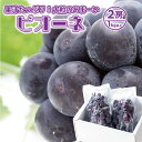 【ふるさと納税】庄内産 ピオーネ 2房 1kg以上 9月上旬...