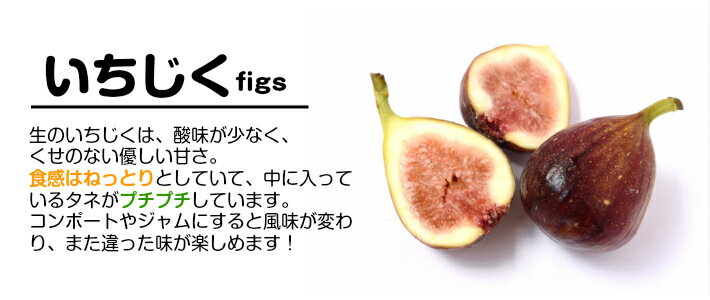 【ふるさと納税】《9/20まで受付！》ハウス栽培いちじく 2.4kg（300g×4パック入り2箱）8月上旬-10月上旬頃お届け（天候により数日前後する場合あり） 冷蔵便 ※着日指定・離島への発送不可が大人気返礼品になっている理由とは　ふるさと納税　人気　返礼品　ランキング