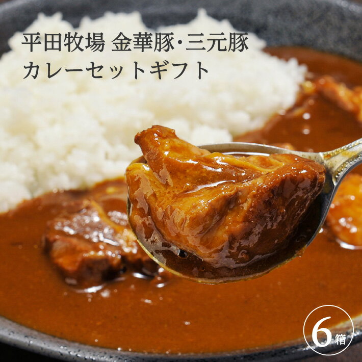 【ふるさと納税】平田牧場 日本の米育ち 金華豚・三元豚 コラーゲン入りカレーギフト 6箱入り（各3箱入り）