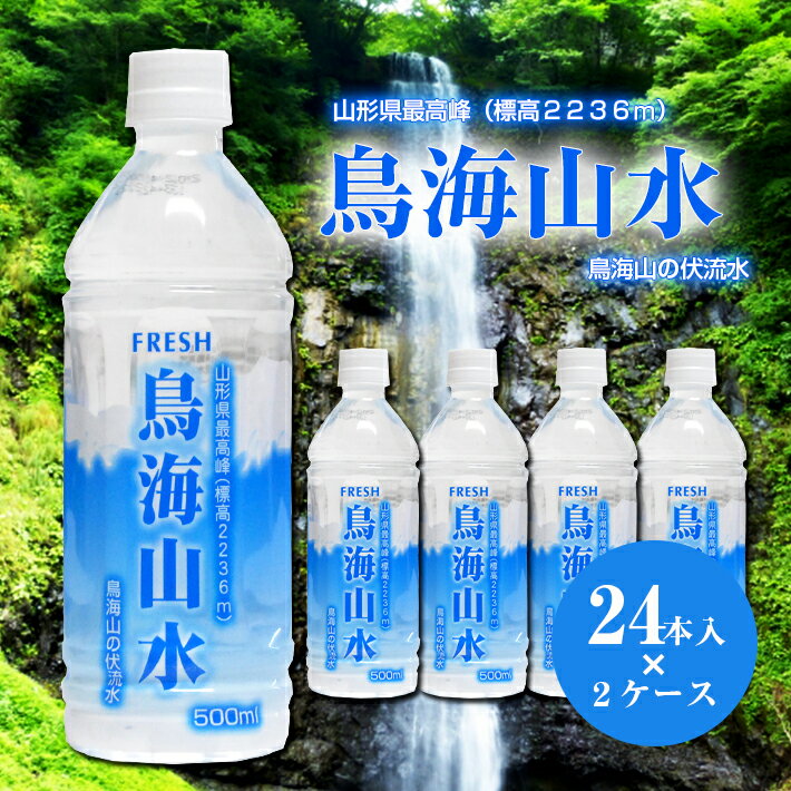 【ふるさと納税】鳥海山水 2ケース 500ml×24本×2ケース 計48本 賞味期限6年 保存用 備蓄用 ナチュラルミネラルウォーター