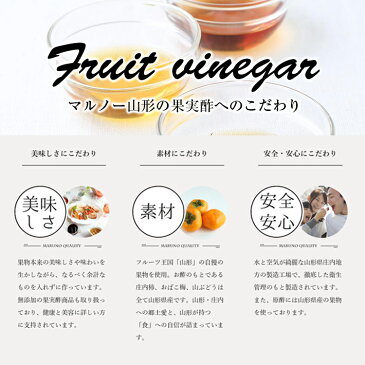 【ふるさと納税】飲む酢プレミアム3種セット 山形県庄内産 山ぶどう味 おばこ梅味 庄内柿味 ※着日指定不可
