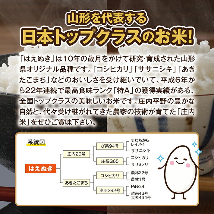 【ふるさと納税】はえぬき 15kg 5kg×3袋 令和3年産米 山形県庄内産 ご希望の時期頃にお届け 東北 山形県 酒田市 庄内地方 米 精米 白米 お米 ごはん ご飯 庄内米 農協 JA セット たっぷり