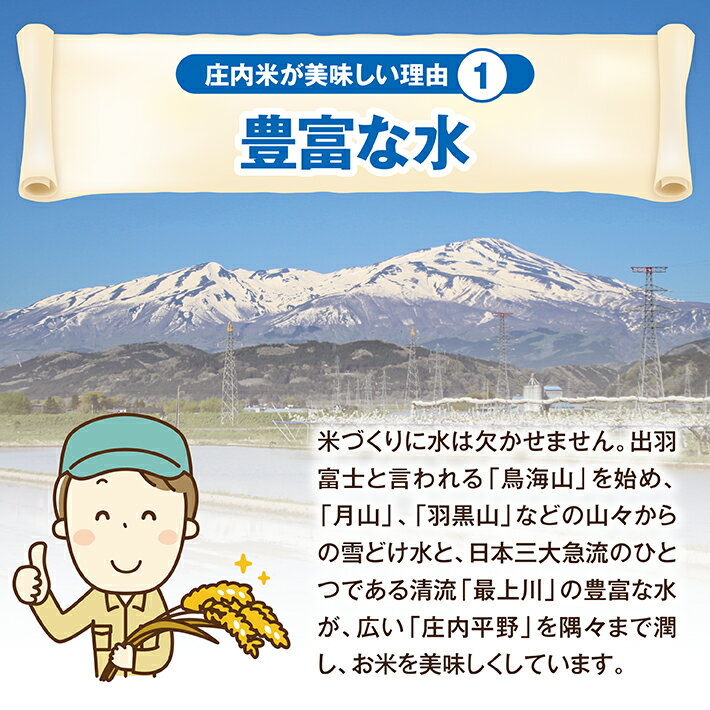 【ふるさと納税】特別栽培米 つや姫 5kg×3袋 計15kg 令和3年産米 山形県庄内産 ご希望の時期頃にお届け 米