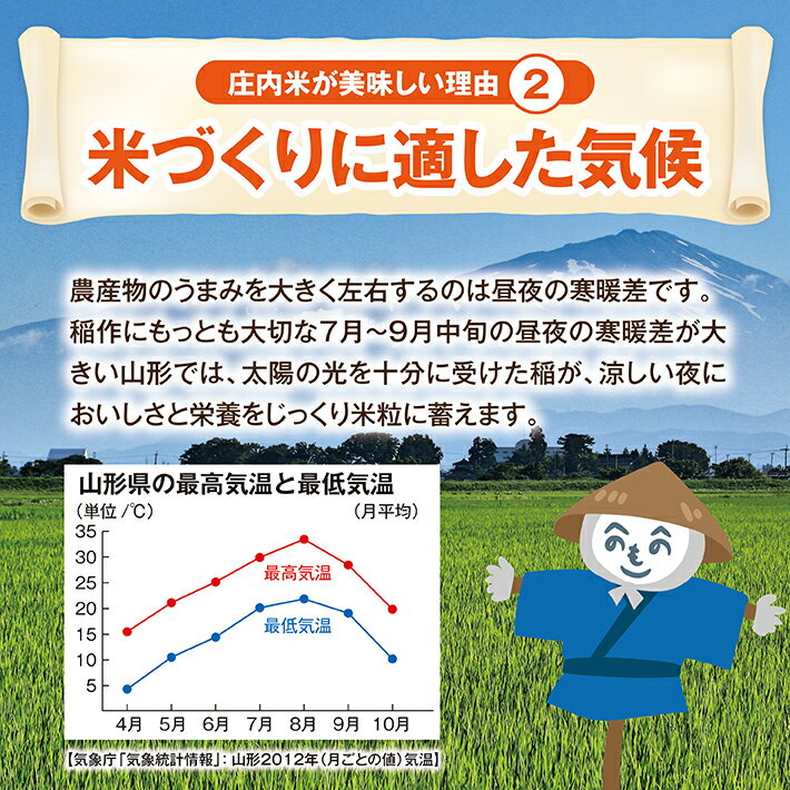 【ふるさと納税】つや姫5kg 雪若丸5kg 計10kg 令和元年産米 山形県庄内産 ※着日指定不可