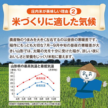 【ふるさと納税】はえぬき つや姫 雪若丸 各5kg 計15kg 令和元年産米 山形県庄内産 ※期日指定不可