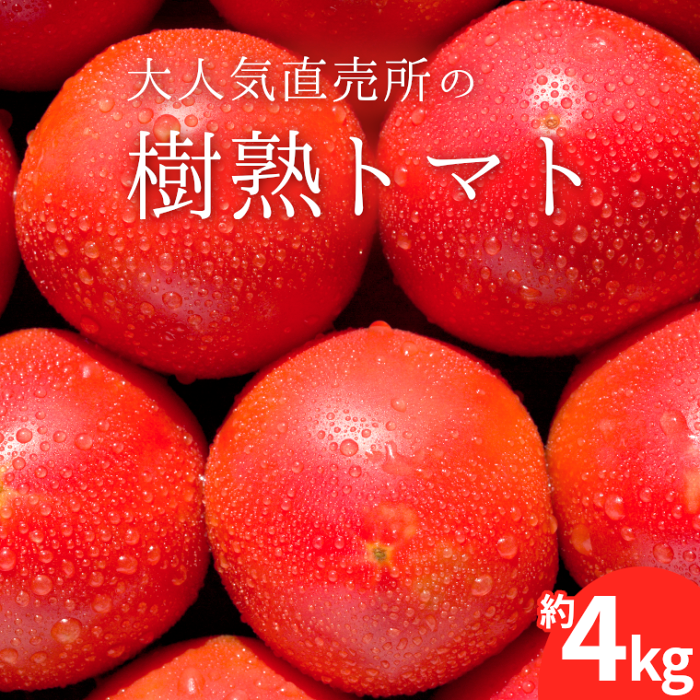 【ふるさと納税】 トマト 4kg 樹熟 人気 直売所