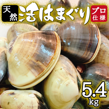 【ふるさと納税】 訳あり はまぐり ハマグリ 蛤 増量 国産 天然 砂抜き 送料無料 5.4kg 5kg超 千葉県産 九十九里産 レシピ 10月～7月発送 期間限定 コロナ支援 酒蒸し 焼き蛤 BBQ おせち お雑煮 お吸い物 貝 わけあり ※2/20～3/2発送不可