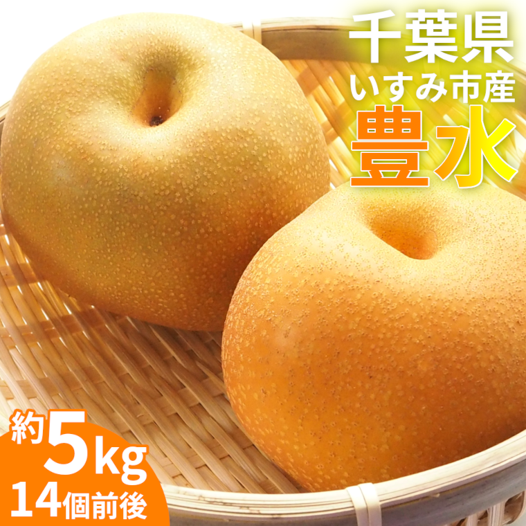 64%OFF!】 ふるさと納税 2022年11月発送 梨 4.5kg 豊水 20世紀 新高 新興 果物 福岡県嘉麻市