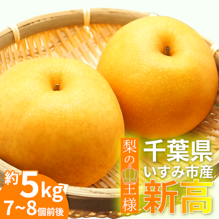 記事番号:33851/アイテムID:349783の画像