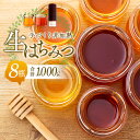 20位! 口コミ数「1件」評価「5」手づくり非加熱生はちみつ 1,000g 国産 8瓶 蜂蜜 はちみつ ハチミツ 非加熱 千葉県産 ふるさと 納税 千葉県 長生村