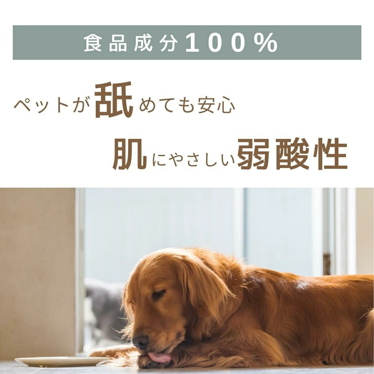 千葉県長生村の画像3