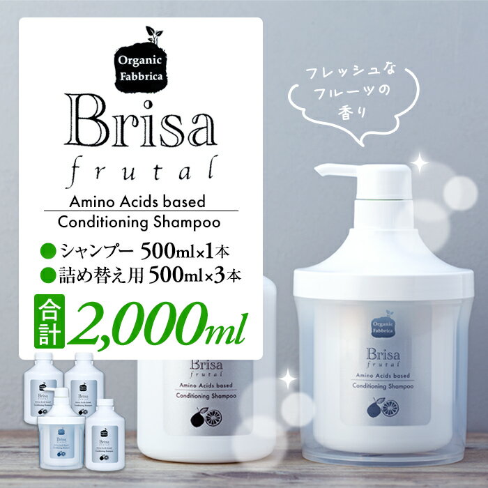 ブリッサフルータル ノンシリコンシャンプー 500mL×1本