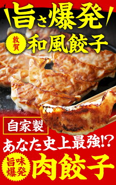 【ふるさと納税】餃子 肉汁あふれる 敦賀和風肉餃子 60個(30個×2パック)7日以内にお届け! 特製タレ ラー油付き 冷凍 焼き餃子 餃子鍋 水餃子 餃子パーティー 点心 中華 ギョーザ ぎょうざ