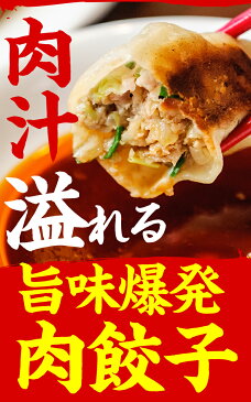 【ふるさと納税】餃子 肉汁あふれる 敦賀和風肉餃子 60個(30個×2パック)7日以内にお届け! 特製タレ ラー油付き 冷凍 焼き餃子 餃子鍋 水餃子 餃子パーティー 点心 中華 ギョーザ ぎょうざ