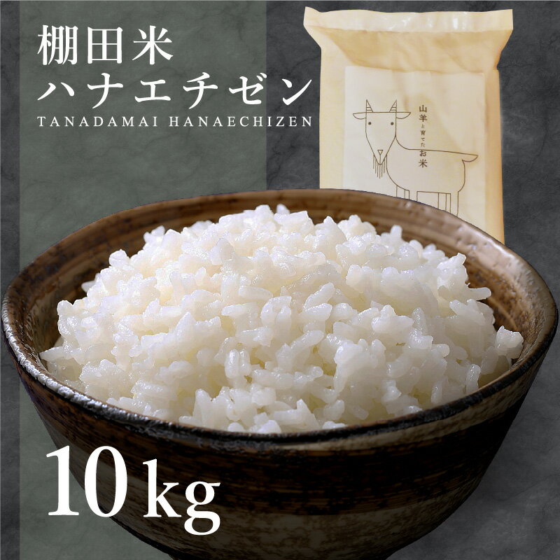 【ふるさと納税】米ハナエチゼン10kg令和4年度産生産者直送!山羊と一緒に育てた、福井のおいしいお米。是非、ご賞味ください。