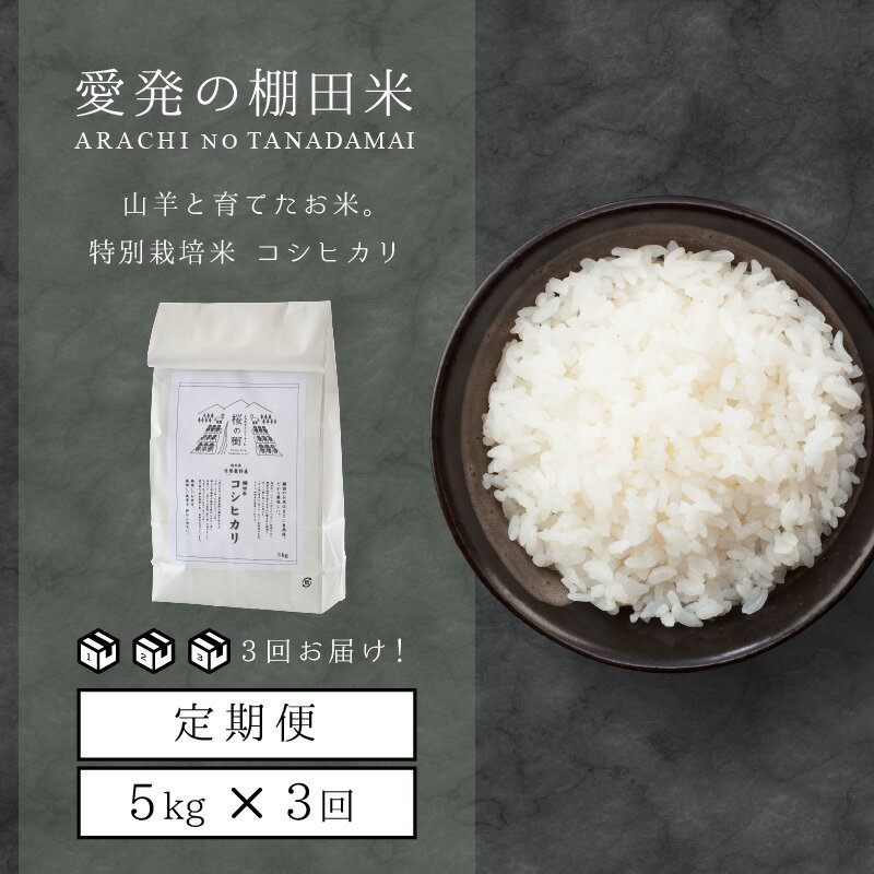 【ふるさと納税】米 定期便 特別栽培米 令和4年度産 コシヒカリ 5kg × 3ヶ月(計15kg) 山羊と一緒に育てた、福井の美味しいお米。是非ご賞味ください。 福井県こだわり米登録！棚田の特別栽培米 にっぽんのふるさと福井厳選米 こしひかり こめ コメ【3カ月連続お届け】