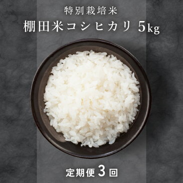 【ふるさと納税】米 定期便 特別栽培米 令和4年度産 コシヒカリ 5kg × 3ヶ月(計15kg) 山羊と一緒に育てた、福井の美味しいお米。是非ご賞味ください。 福井県こだわり米登録！棚田の特別栽培米 にっぽんのふるさと福井厳選米 こしひかり こめ コメ【3カ月連続お届け】