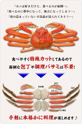 【ふるさと納税】時期が選べる【お刺身OK】カット生ずわい蟹400g（総重量約500g）× 2箱【甲羅組 蟹 カニ 魚介類 魚貝類】 画像2